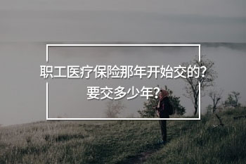 職工醫(yī)療保險(xiǎn)那年開(kāi)始交的