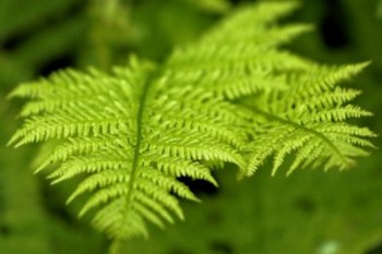 醫(yī)療保險自己交一年多少錢