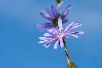醫(yī)療保險的錢不花是不是就沒了
