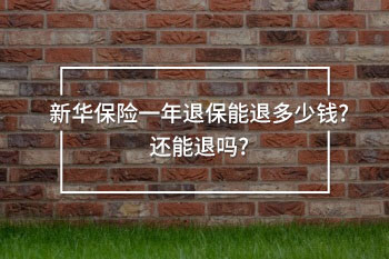 新華保險(xiǎn)一年退保能退多少錢