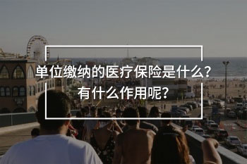 單位繳納的醫(yī)療保險(xiǎn)