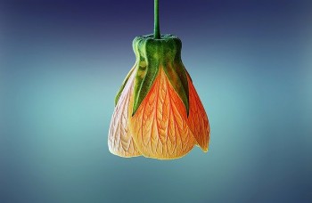 小醫(yī)療保險一年多少錢