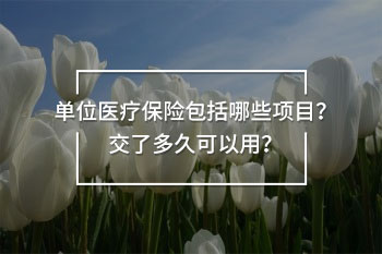 單位醫(yī)療保險