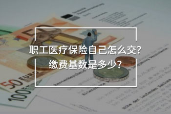 職工醫(yī)療保險自己怎么交