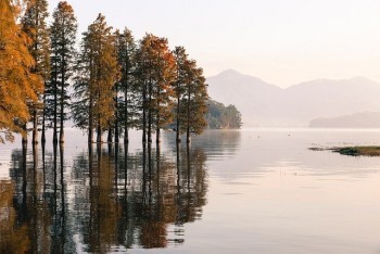 城鎮(zhèn)職工基本醫(yī)療保險查詢