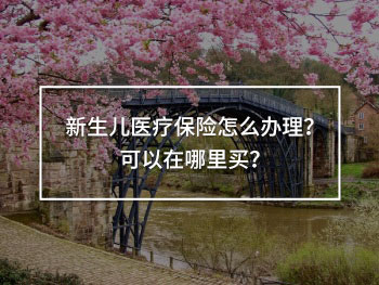 新生兒醫(yī)療保險怎么辦