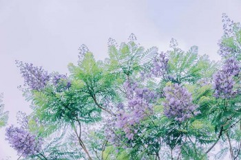 人壽保險重大疾病險介紹，怎么樣？
