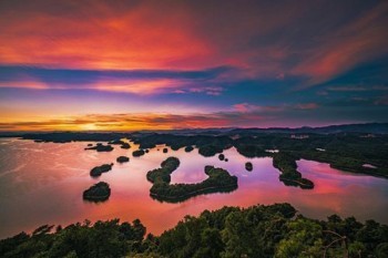 太平保險(xiǎn)能全額退保么？退保能退多少保費(fèi)？