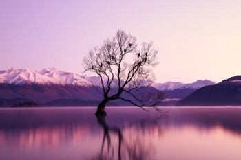 微信水滴保怎么申請退保？水滴?？孔V嗎？