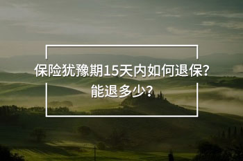 保險(xiǎn)猶豫期15天內(nèi)退保