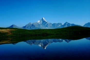 商業(yè)保險跟社保的區(qū)別是什么？哪個好？
