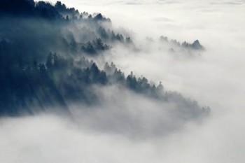 水滴保退保怎么辦理?費(fèi)用何時(shí)返還?