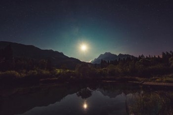 保險(xiǎn)退保電話是多少