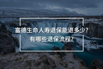 富德生命人壽退保能退多少