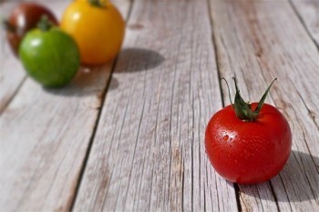 農(nóng)保怎么退保？有什么條件？
