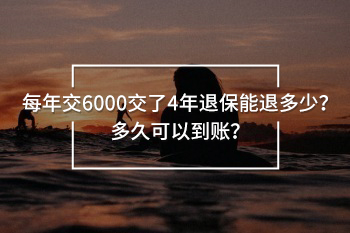 每年交6000交了4年退保能退多少