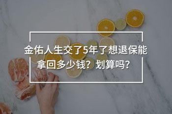 金佑人生交了5年了想退保