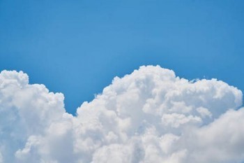 投保人退保需要被保險人同意嗎