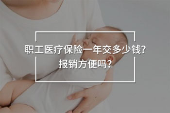 職工醫(yī)療保險(xiǎn)一年交多少錢