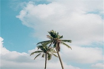 全額退保對業(yè)務(wù)員有什么影響