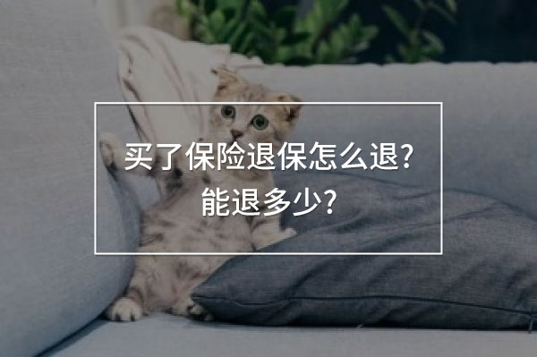 買了保險退保怎么退
