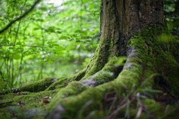 有了醫(yī)保還需要買商業(yè)保險嗎？商業(yè)保險有什么類型？