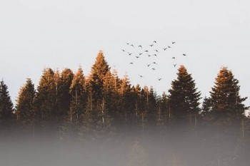 消費(fèi)型醫(yī)療保險一年多少錢