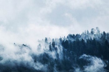 醫(yī)療保險費一年多少錢