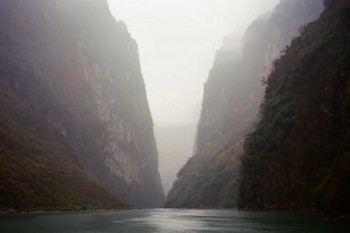 平安福保險怎么退