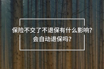 保險(xiǎn)不交了不退保有什么影響