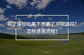 怎樣退保流程