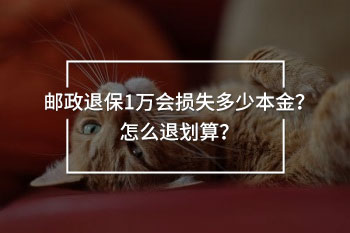 郵政退保1萬會(huì)損失多少本金