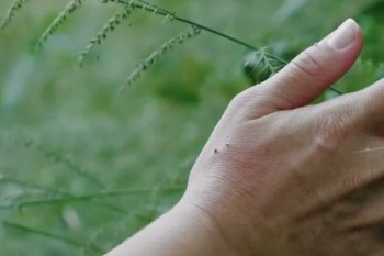 好醫(yī)保住院醫(yī)療報銷流程