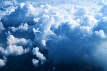 太平洋保險安行寶退保價格表