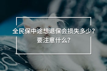 全民保中途想退保會(huì)損失多少