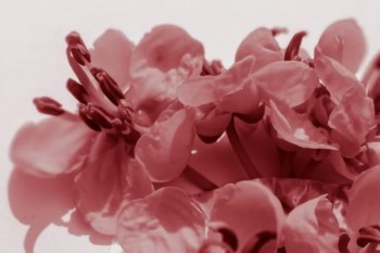 保險(xiǎn)交三年后退保可以退多少