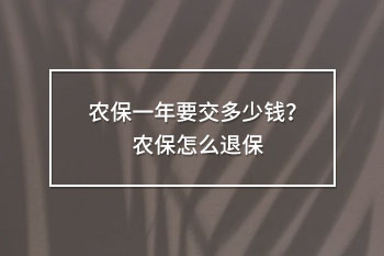 農(nóng)保怎么退保