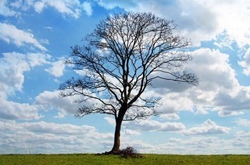 退休職工大病醫(yī)療保險保費一年是多少？報銷比例是什么？
