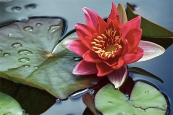 醫(yī)保和商業(yè)醫(yī)療險哪個更劃算