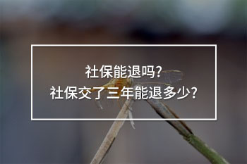 社保交了三年能退多少