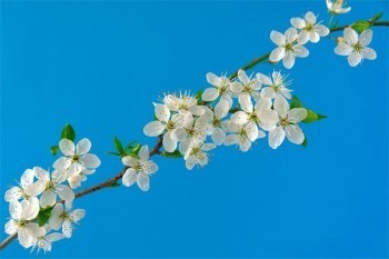 年金保險(xiǎn)退保能退多少