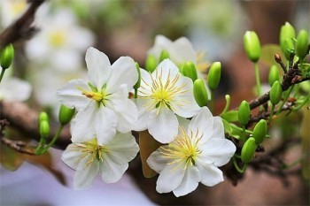 輕松籌怎么退保費(fèi)