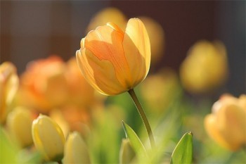 門(mén)診商業(yè)保險(xiǎn)