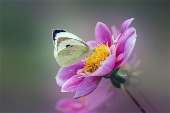 醫(yī)療保險個人怎么買