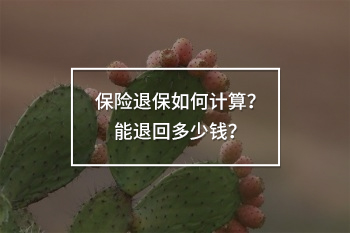 保險(xiǎn)退保如何計(jì)算