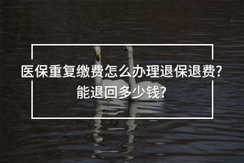 醫(yī)保重復(fù)繳費(fèi)怎么辦理退保退費(fèi)