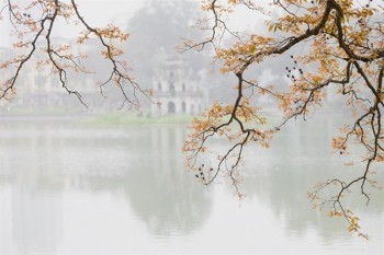 企業(yè)保險(xiǎn)可以退保嗎