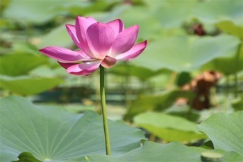 元保退保怎么辦理