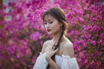 360保險自動扣款能退款嗎
