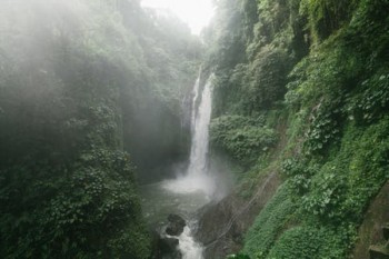 小贏退保險